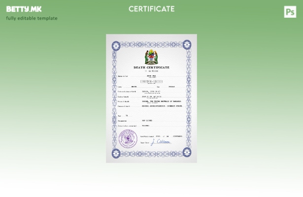 Модерен стил на Танзанија, шаблон за шаблон за PSD сертификат за смртен рекорд